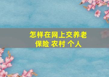 怎样在网上交养老保险 农村 个人